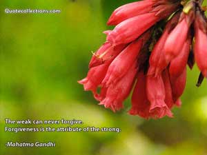 mother_teresa_quotes Quotes 2